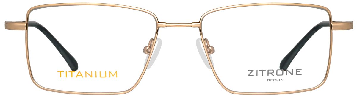Zitrone 11081 1