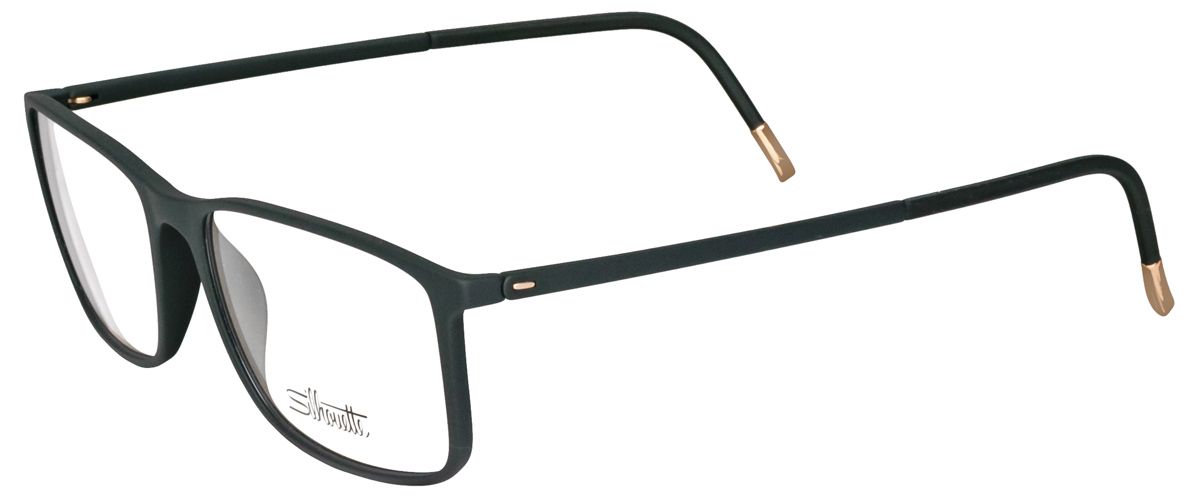 Silhouette 2934 9030