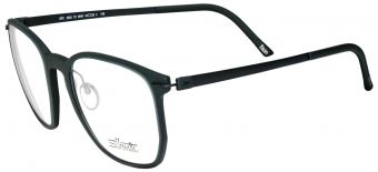 Silhouette 2952 9040