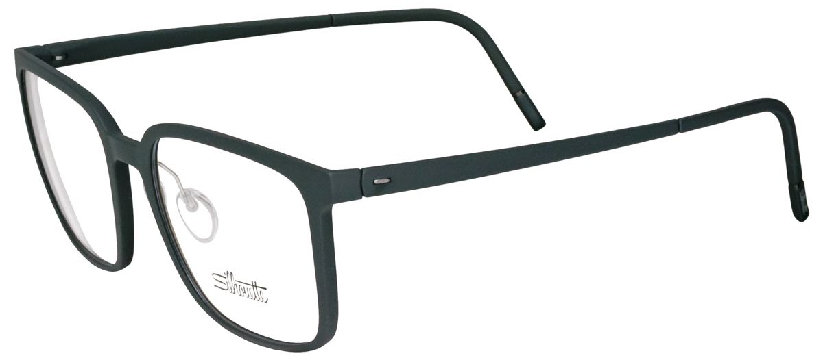 Silhouette 2957 9060