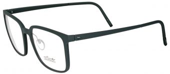Silhouette 2957 9060
