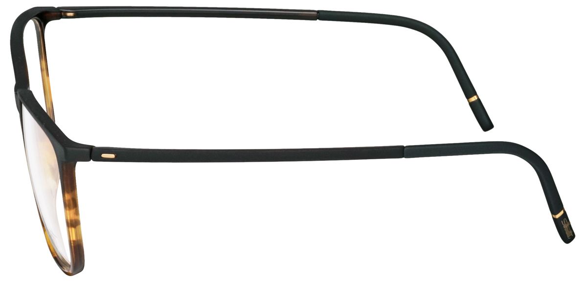 Silhouette 2961 6130