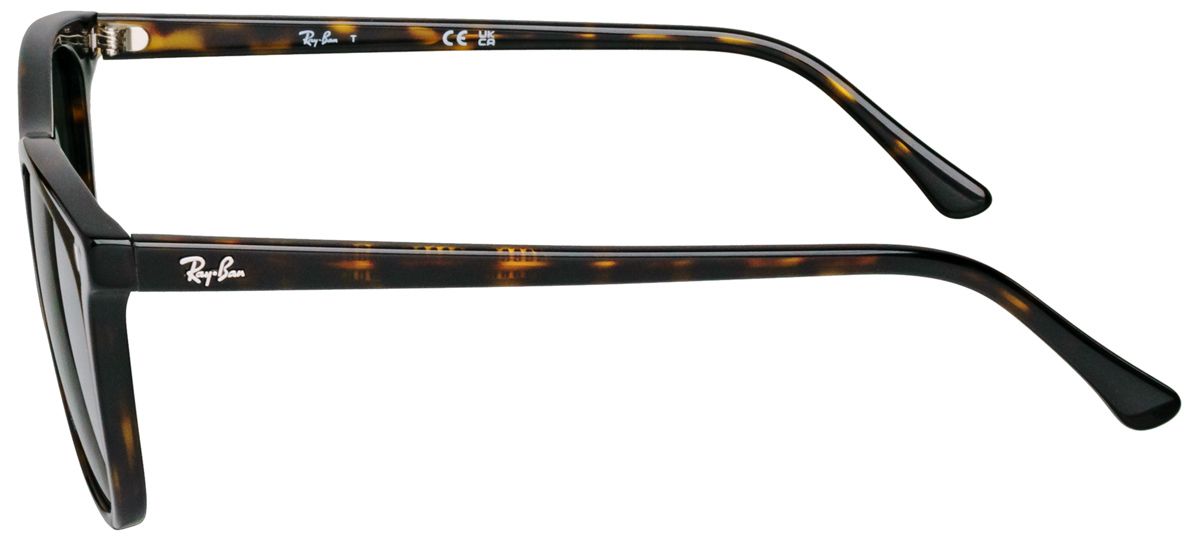 Ray-Ban 2210F 902/31