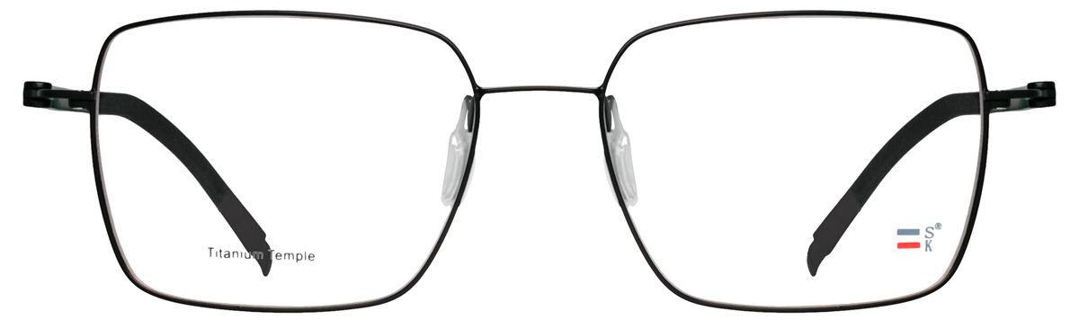 SK 2196 5